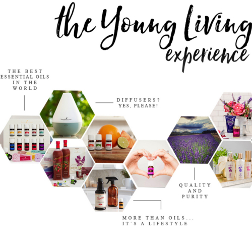 Revive Salon and Spa in Noblesville / Fishers | Revive Salon & Spa Studio